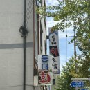 강남1길(정하동) | 안동정하동회맛집 등대회초밥 점심회덮밥