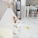 나와놀개 이미지