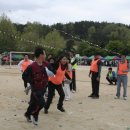 새일초교 이미지