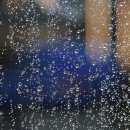 벨라 모먼트 이미지