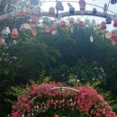 군자주공13단지 이미지