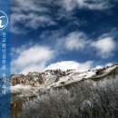 선기로2-11 이미지