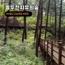 어울림치유의숲온열힐링센터 | 69P : 서울근교 가을나들이 동두천 자연휴양림 치유의 숲 힐링 산림치유프로그램