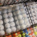 이글 스크린(실내-스크린) 이미지