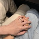 샐디치 이미지