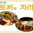 토끼와 자라 Daum카페