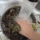 수산정육점 | [가락시장 정육점] 송파 정육점 추천, 가락몰 1층 '은희축산' 후기