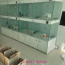 김해 강아지분양 두부네 하루 이미지