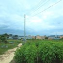 송우농장 이미지