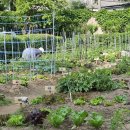 용산2농장 이미지