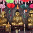 진주 청곡사 목조석가여래삼존좌상 이미지