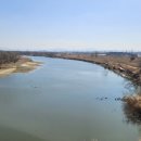 충도1리 이미지