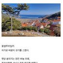 위빗 블로그 마케팅 무료 강의로 알아본 브랜드 블로그 가능성