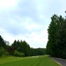 그린장 | 🌳 블루헤런 CC 후기｜숲속에서 플레이하는 듯한 최고의 골프장