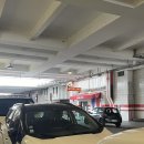 화이트민박 | 프랑스 파리 한인민박 화이트에펠 후기 여성전용 숙소 추천