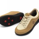 슈올즈 괴정점 이미지