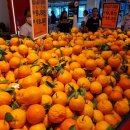 NSK마트 | 쿠알라룸푸르 마트 @ NSK 그로서