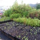 영림농장 이미지