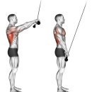 웨스트짐 헬스&PT 이미지