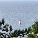 신안힐링 이미지