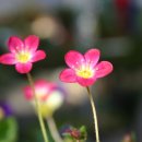 리강 왕곱창 이미지