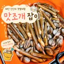 포인트마트 | 태안 갯벌체험 맛조개 포인트｜진산리 어촌계 행복마트 조개잡이 후기·준비물 꿀팁