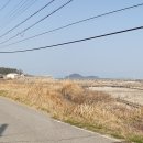 둔봉마을 Daum카페