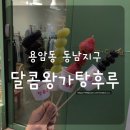 달콤왕가탕후루청주 이미지
