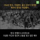 제주에 축복을 선물한 '푸른 눈의 돼지 신부' 이미지