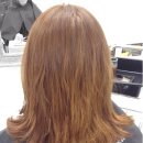 핑크 체리 이미지