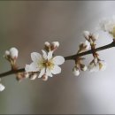 고령농장 이미지