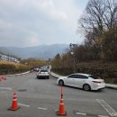 산수유축제장 | 구례 산수유축제 실시간 개화모습 주차 정보 및 셔틀버스 등 산수유 축제 첫날 후기