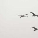신우공간