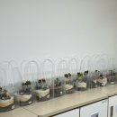 서울양원숲초등학교병설유치원 이미지