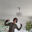 프란지아(frangia) 이미지