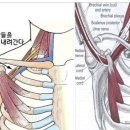 강남헬스 이미지