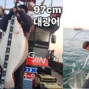 영흥도 배낚시 대광어낚시 다운샷 영진호 97cm 출몰 광어 채비 웜 추천