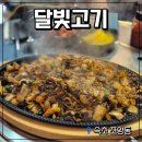 달빛이 머무는집 | 고깃집에서 짜장면을? 속초 '달빛고기' 점심 특선 해물철판짜장 먹고 반한 솔직 후기