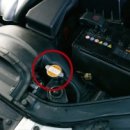 여명모터스 이미지