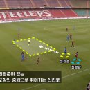 새벽의축구전문가