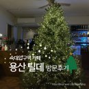 나는카페 - 과천시 경마공원대로 107 | 숙대입구역카페 용산 틸데 연말분위기나는카페 방문후기