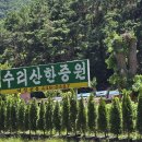 안양한증원 이미지