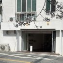 플라워 디자인_꽃꽂이 | 마산 감성 꽃집 그리너리, 경남대학교 평생교육원 플라워클래스 수강신청