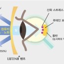 강남-045 이미지