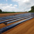 황금코다리영광점 이미지