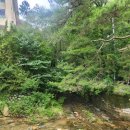 우이정원 | 서울 북한산 계곡 우이천 백숙 우이정원 후기