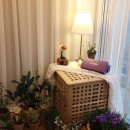 인마망마카롱 이미지