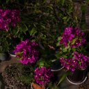 제민의원 이미지