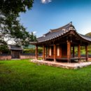 구암양돈 이미지