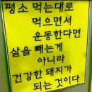 삼촌네타이어 이미지